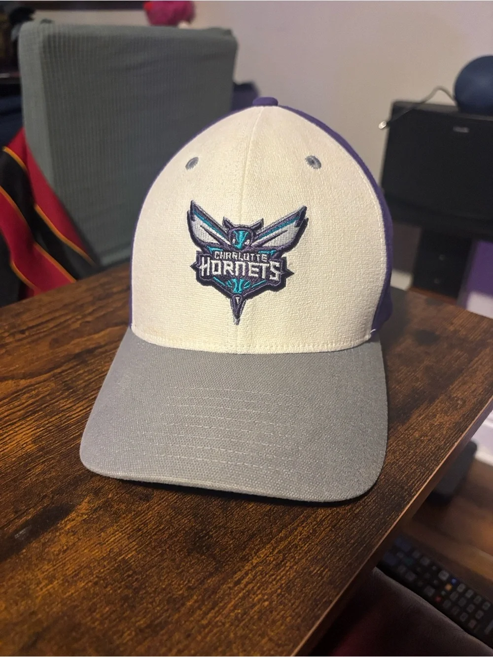 Jordan Charlotte Hornets Panel Cap in Purple, Cream & Gray
